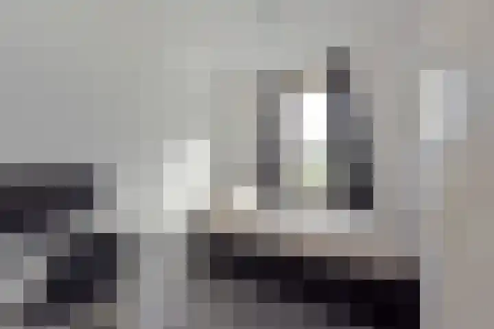 De Zeelt 22 Nieuwkoop thumbnail 20