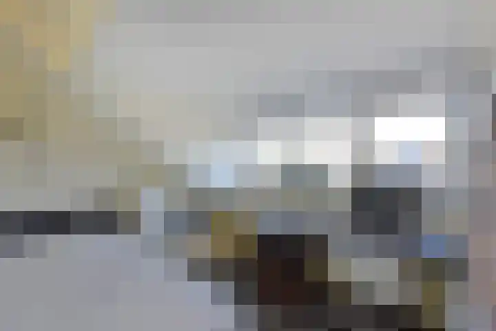 De Zeelt 22 Nieuwkoop thumbnail 22