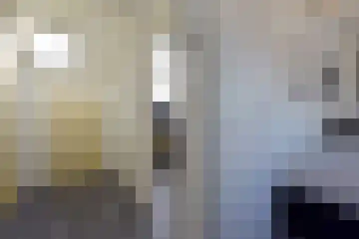 De Zeelt 22 Nieuwkoop thumbnail 24