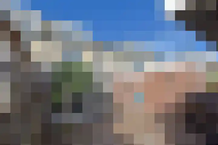 De Zeelt 22 Nieuwkoop thumbnail 27