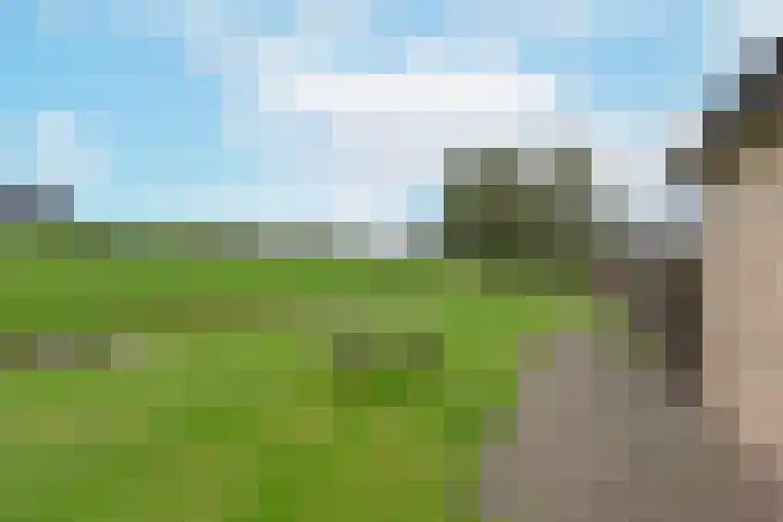 De Zeelt 22 Nieuwkoop thumbnail 29
