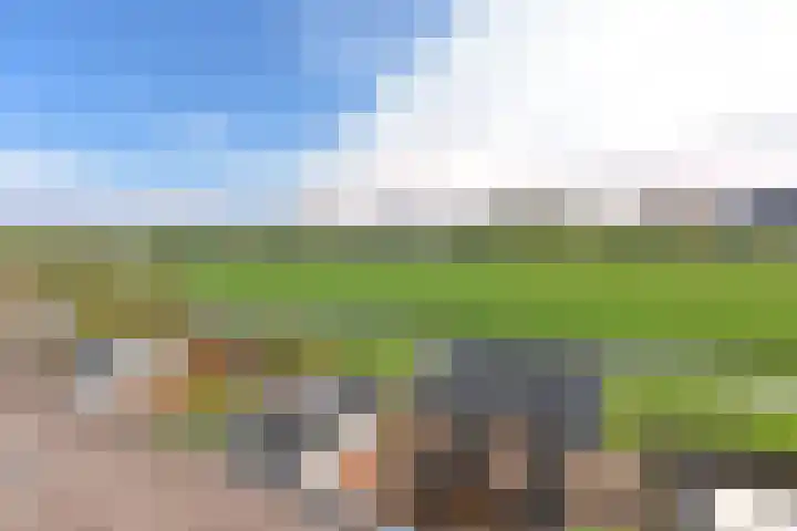 De Zeelt 22 Nieuwkoop thumbnail 31
