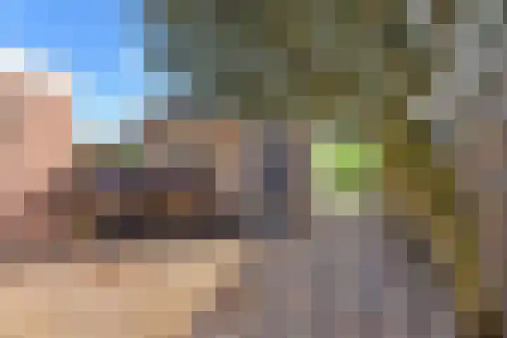 De Zeelt 22 Nieuwkoop thumbnail 32