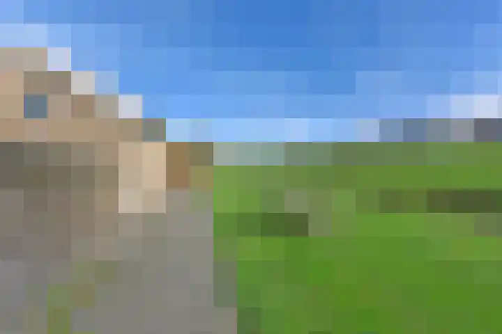 De Zeelt 22 Nieuwkoop thumbnail 33