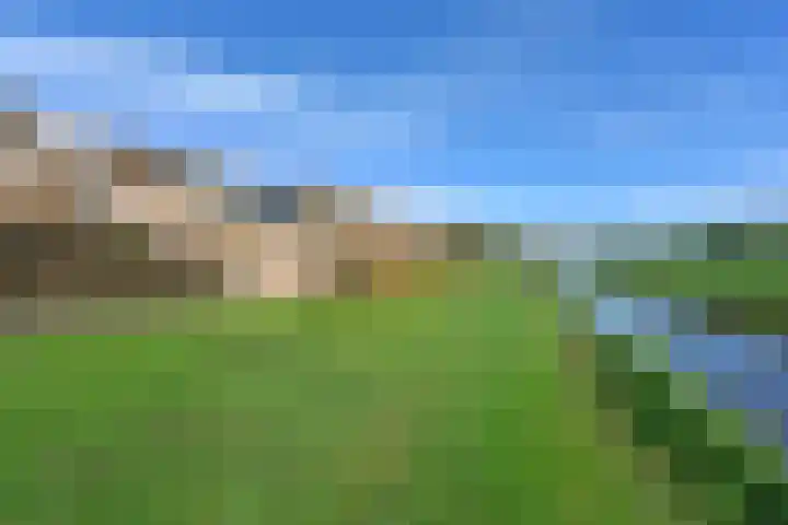 De Zeelt 22 Nieuwkoop thumbnail 34