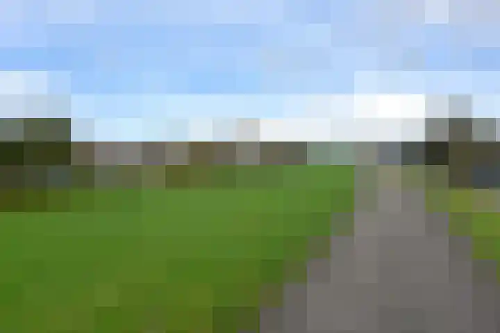 De Zeelt 22 Nieuwkoop thumbnail 35