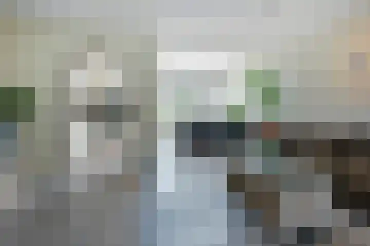 De Zeelt 22 Nieuwkoop thumbnail 6