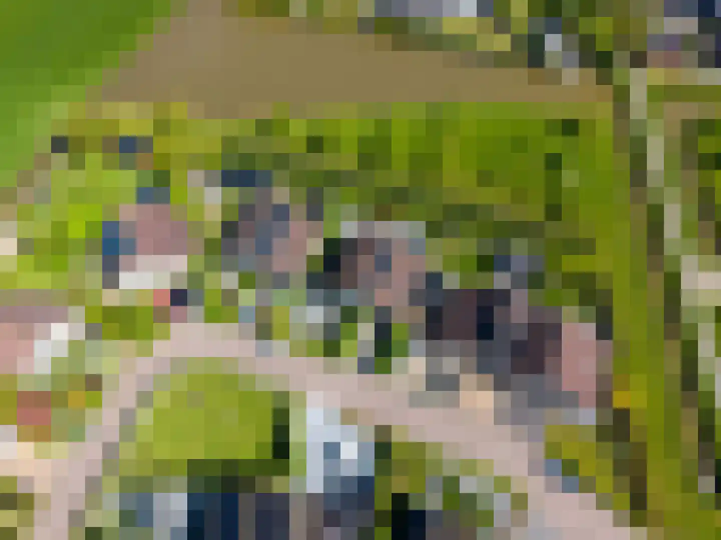 De Zeemunnik 6 Harlingen thumbnail 13