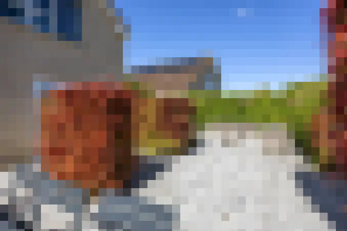 De Zeemunnik 6 Harlingen thumbnail 41
