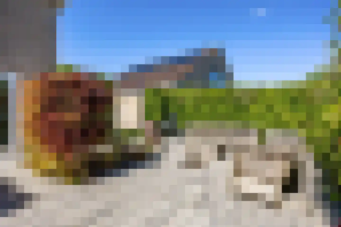 De Zeemunnik 6 Harlingen thumbnail 42