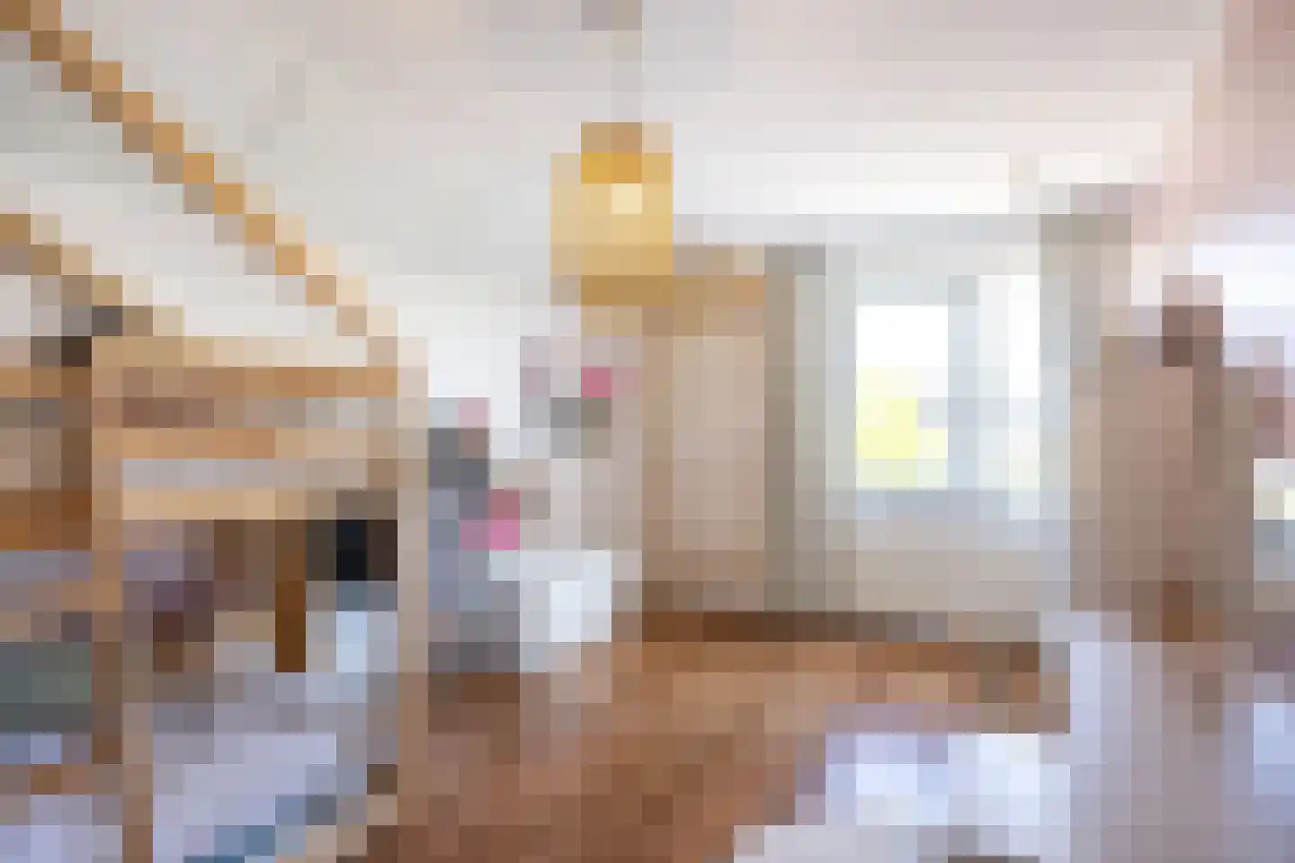 De Zeemunnik 6 Harlingen thumbnail 60