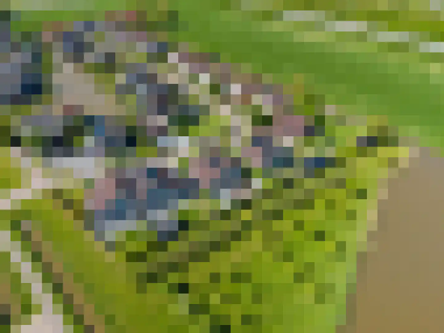De Zeemunnik 6 Harlingen thumbnail 7