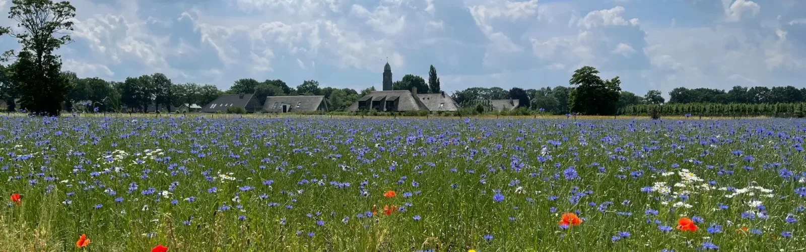 Team photo of De Zeeuw Makelaars