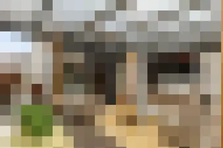 De Zegge 17 Zwartsluis thumbnail 29