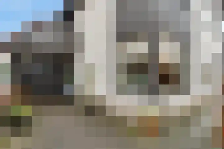 De Zegge 17 Zwartsluis thumbnail 8