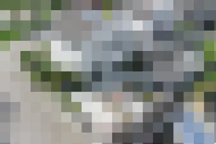 De Zegge 2 Zwartsluis thumbnail 12