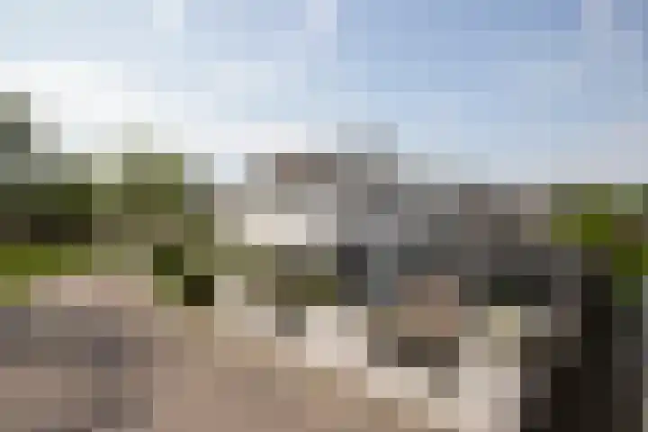 De Zegge 2 Zwartsluis thumbnail 26