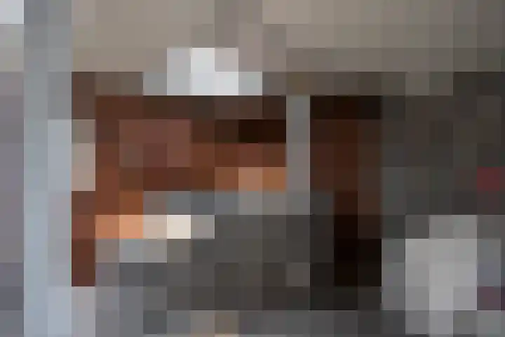 De Zegge 2 Zwartsluis thumbnail 31