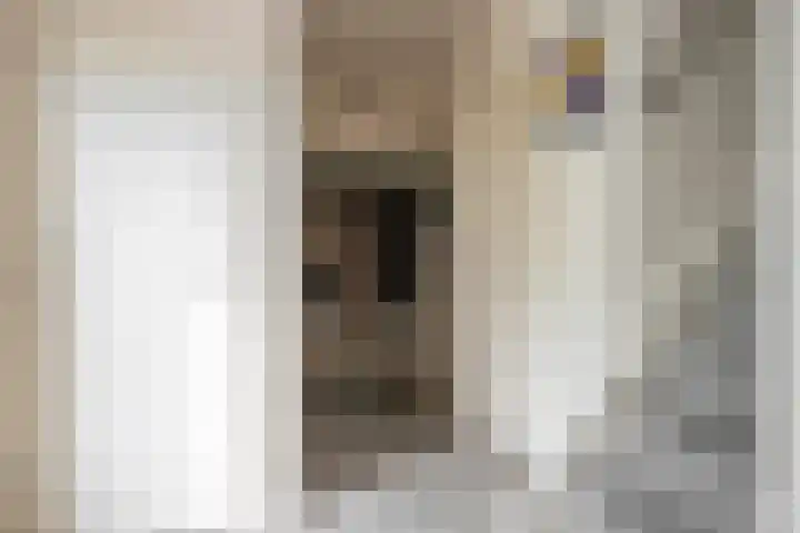 De Zegge 2 Zwartsluis thumbnail 37