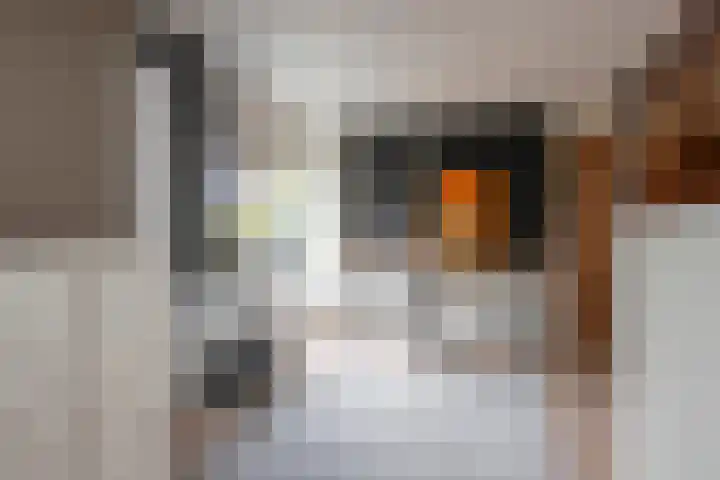 De Zegge 2 Zwartsluis thumbnail 39