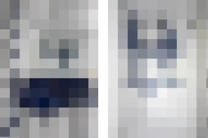 De Zegge 2 Zwartsluis thumbnail 47