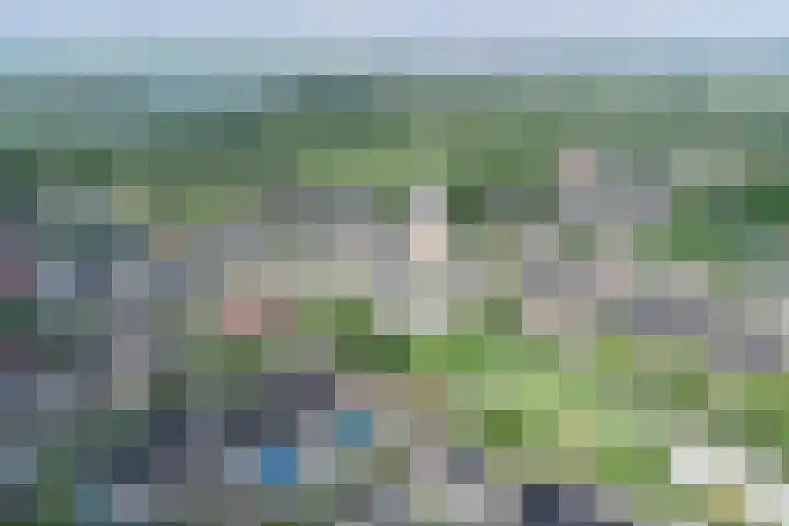 De Zegge 2 Zwartsluis thumbnail 6
