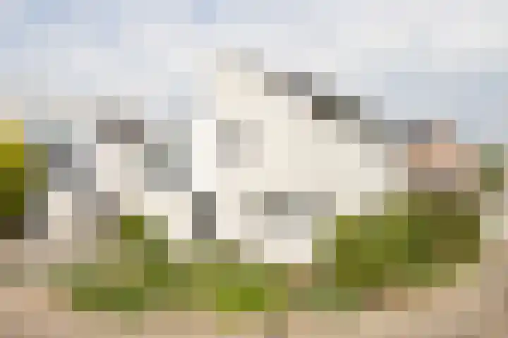 De Zegge 2 Zwartsluis thumbnail 7