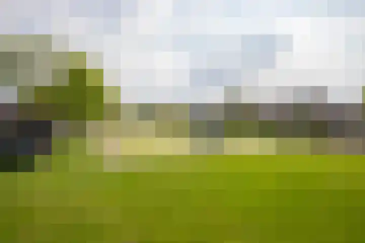 De Zegge 2 Zwartsluis thumbnail 8