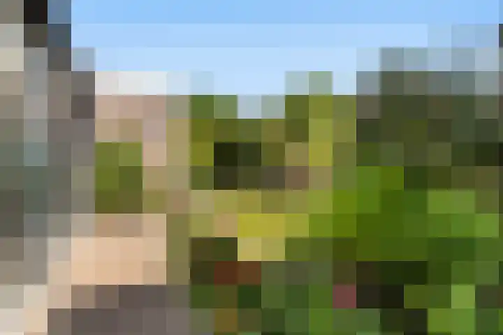 De Zeilen 1 Buitenpost thumbnail 28