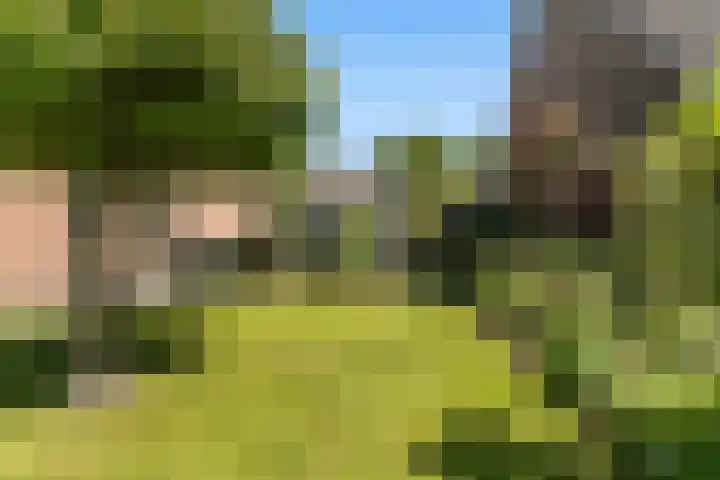 De Zeilen 1 Buitenpost thumbnail 29