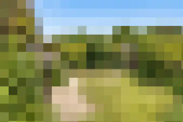De Zeilen 1 Buitenpost thumbnail 30