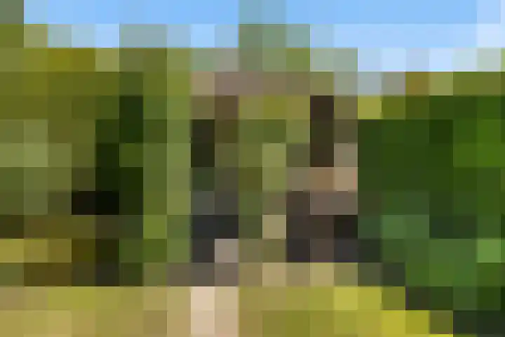 De Zeilen 1 Buitenpost thumbnail 31