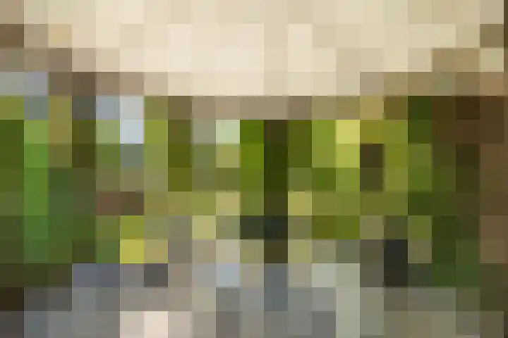 De Zeilen 1 Buitenpost thumbnail 32