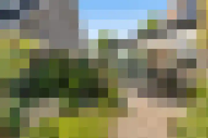 De Zeilen 1 Buitenpost thumbnail 35