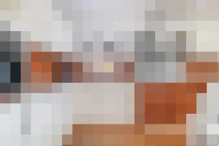 De Zeilen 1 Buitenpost thumbnail 4