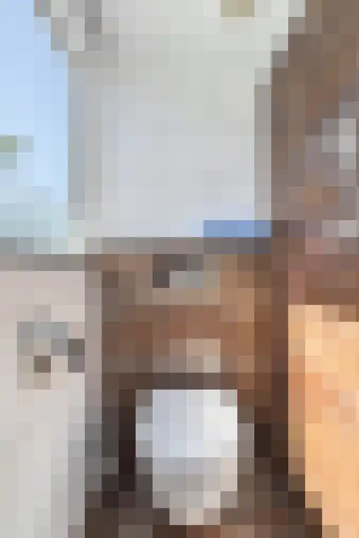 De Zeilen 1 Buitenpost thumbnail 46