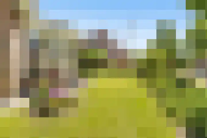 De Zeilen 1 Buitenpost thumbnail 57