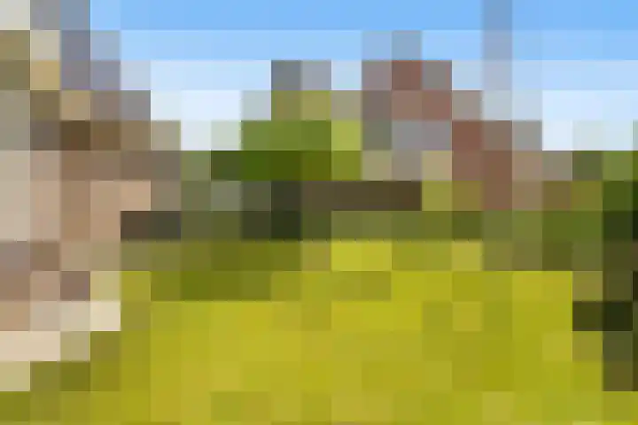 De Zeilen 1 Buitenpost thumbnail 58