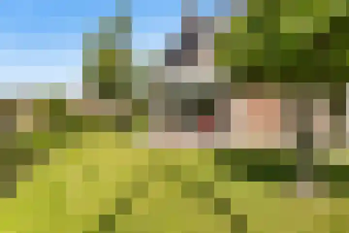 De Zeilen 1 Buitenpost thumbnail 59