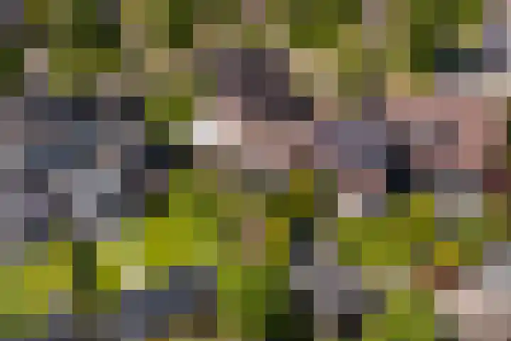 De Zeilen 1 Buitenpost thumbnail 60