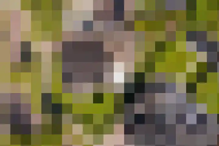 De Zeilen 1 Buitenpost thumbnail 61