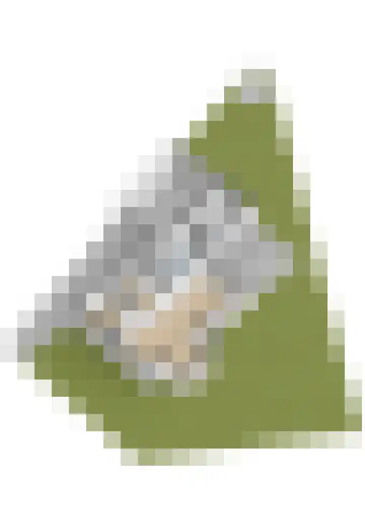 De Zeilen 1 Buitenpost thumbnail 71