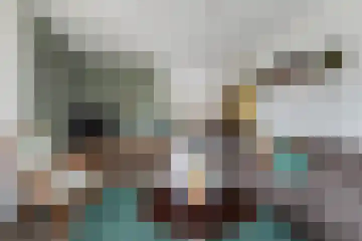 De Zeilen 17 Buitenpost thumbnail 12