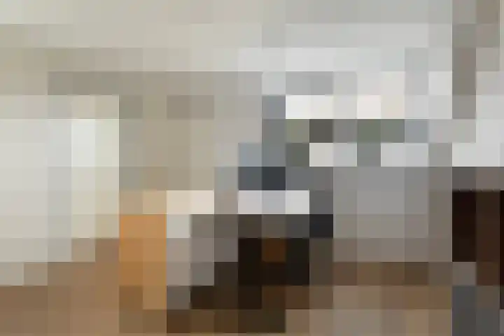De Zeilen 17 Buitenpost thumbnail 25