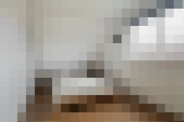 De Zeilen 17 Buitenpost thumbnail 30