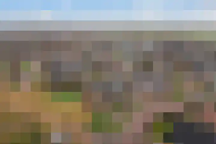 De Zeilen 17 Buitenpost thumbnail 40