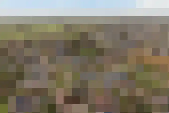 De Zeilen 17 Buitenpost thumbnail 41