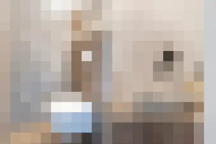 De Zeilen 17 Buitenpost thumbnail 7