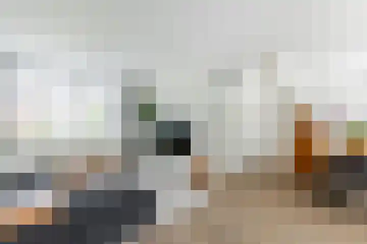 de Zeilen 4 Oirschot thumbnail 11