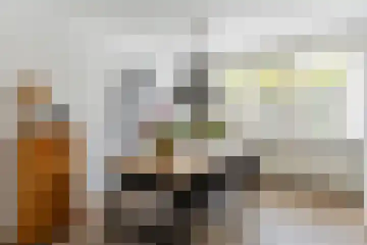 de Zeilen 4 Oirschot thumbnail 13
